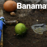 Should India Ban Social Media for Kids Under 15? Analyzing France’s Move and Its Implications