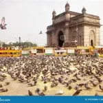 Bollywood Baby Boom: Rajkummar Rao-Patralekhaa, Kiara Advani-Sidharth Malhotra Announce Pregnancies in 2025