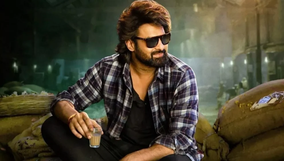 Rajasaab movie review